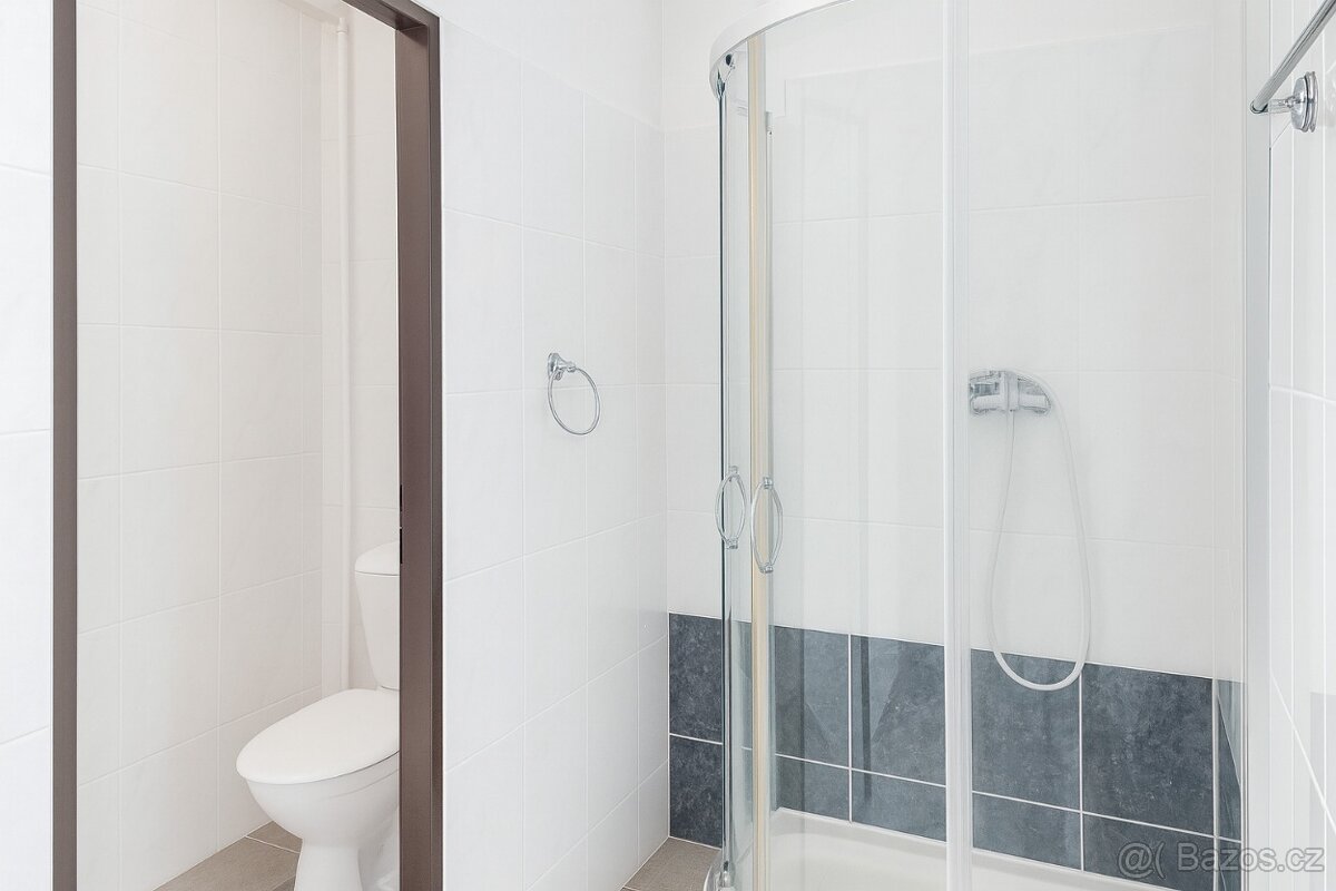 Samostatný rodinný dům 1+1 – Javorník - 6