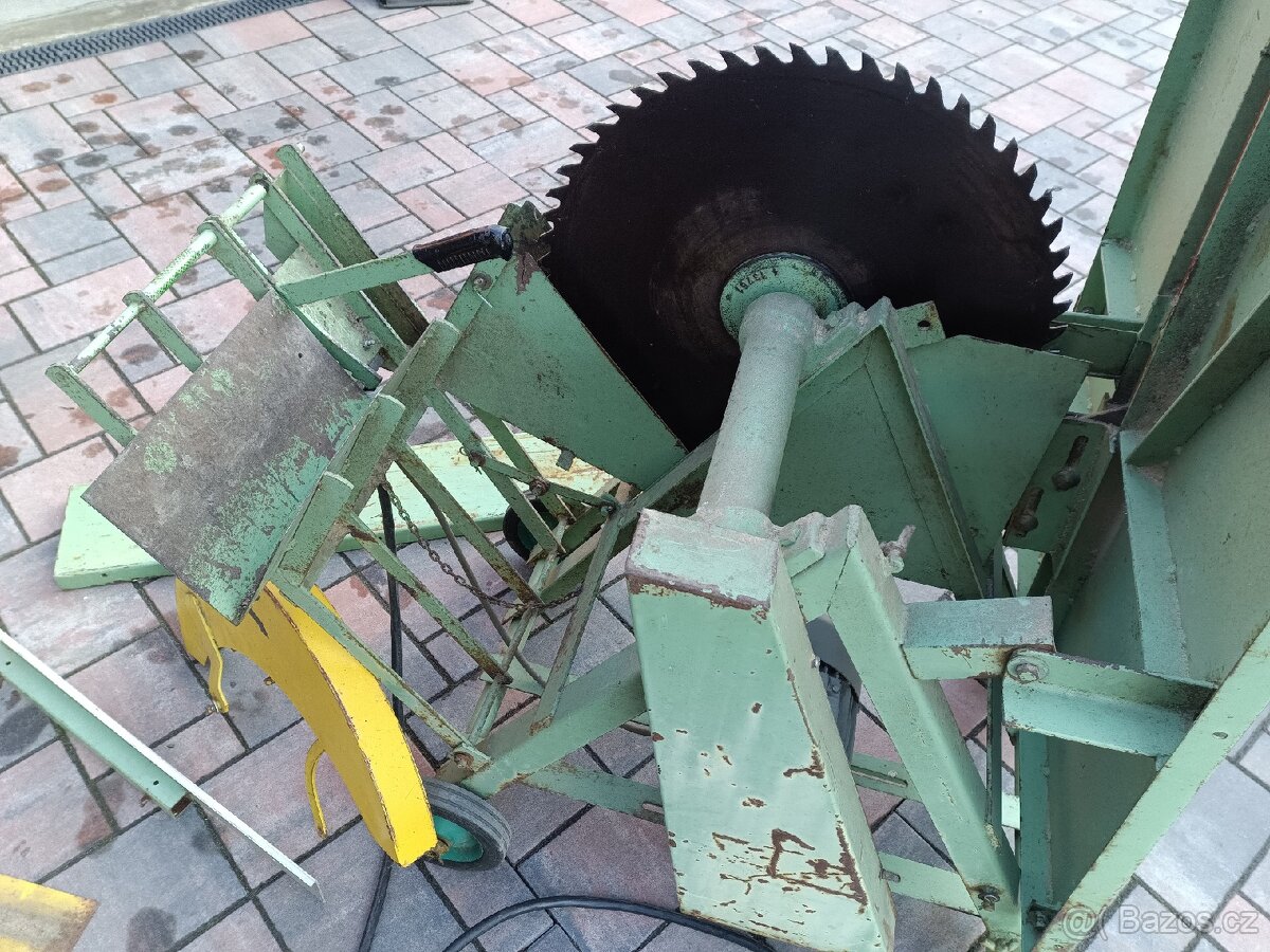 Cirkulárka kolébková - 6