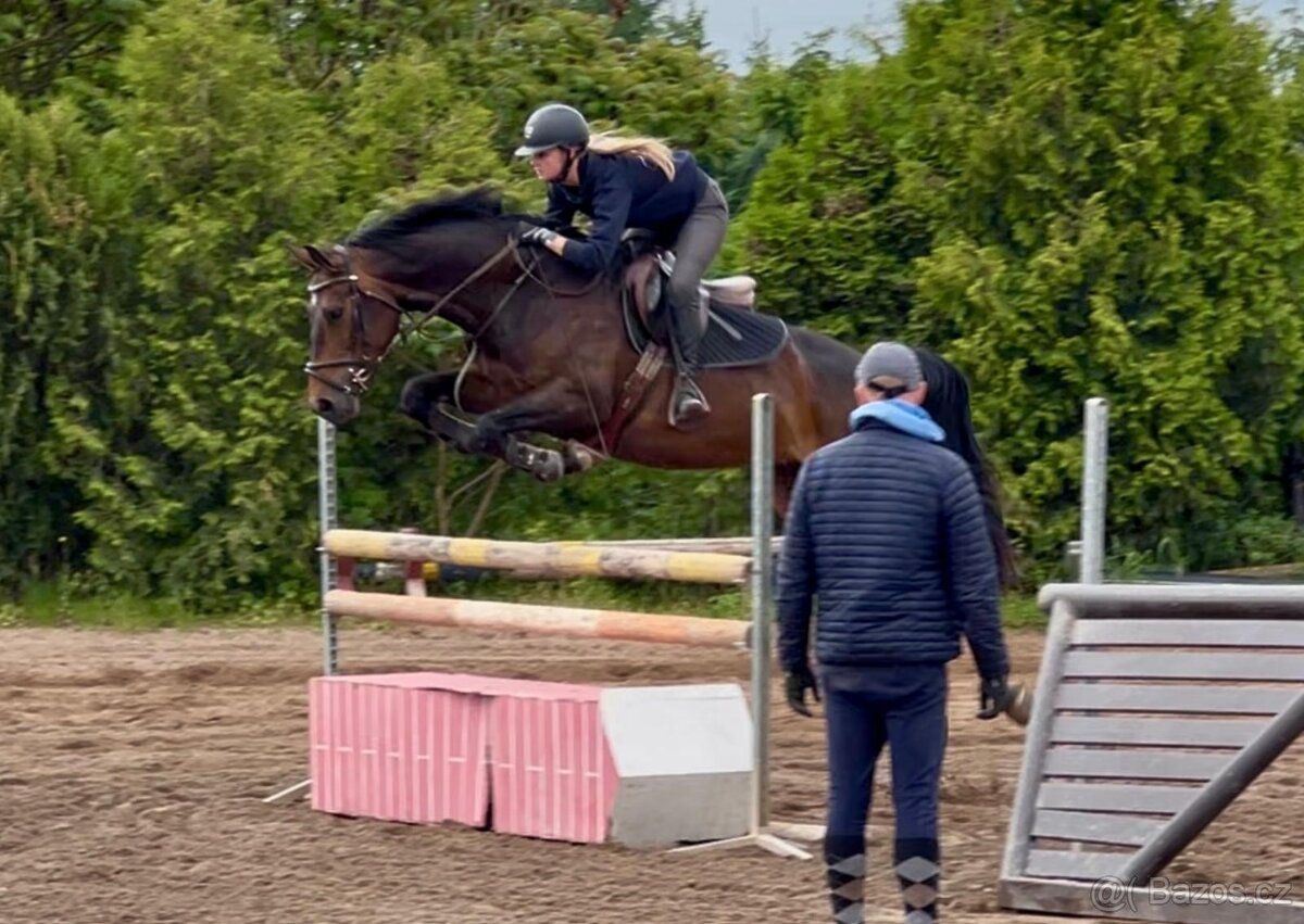 Skokově nadaná klisna po Chico´s Boy - 6