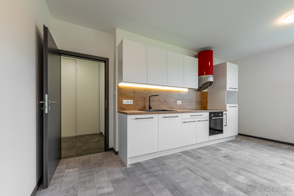 Pronájem, byt 1+kk, 54 m², Plzeň - Bolevec, ul. Plaská - 6