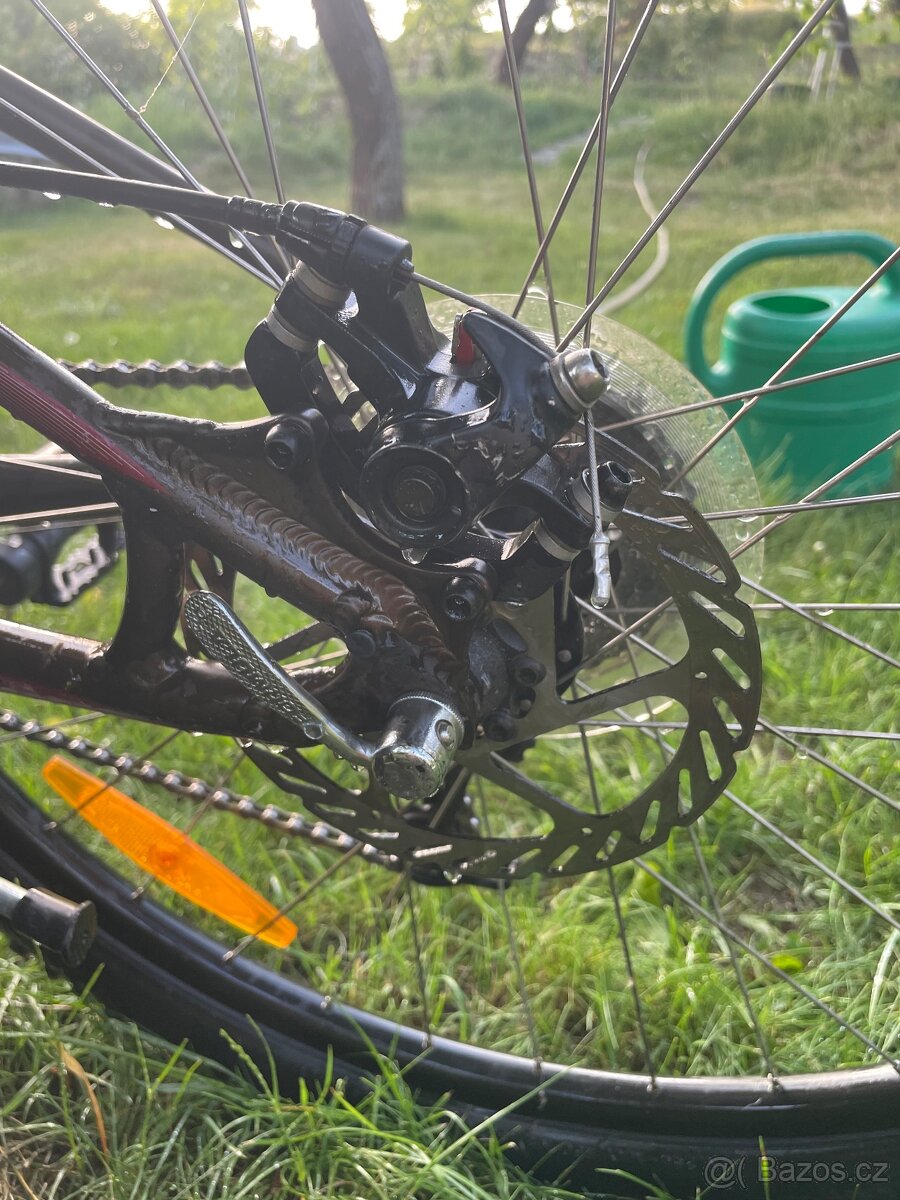 Specialized - 6