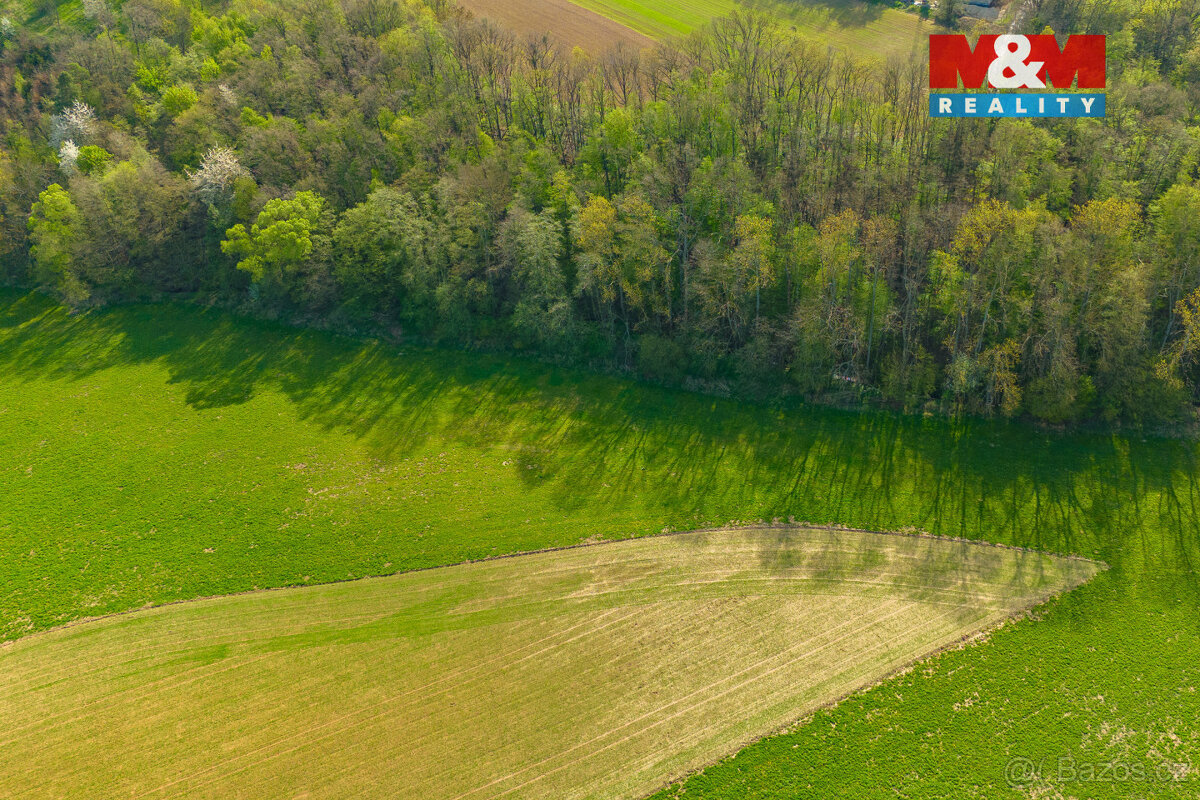 Prodej pole, 4100 m², Bílá Lhota - 6