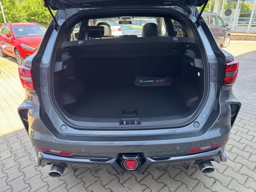 SWM G1F, G01F 1.5 TURBO 98kW - 6