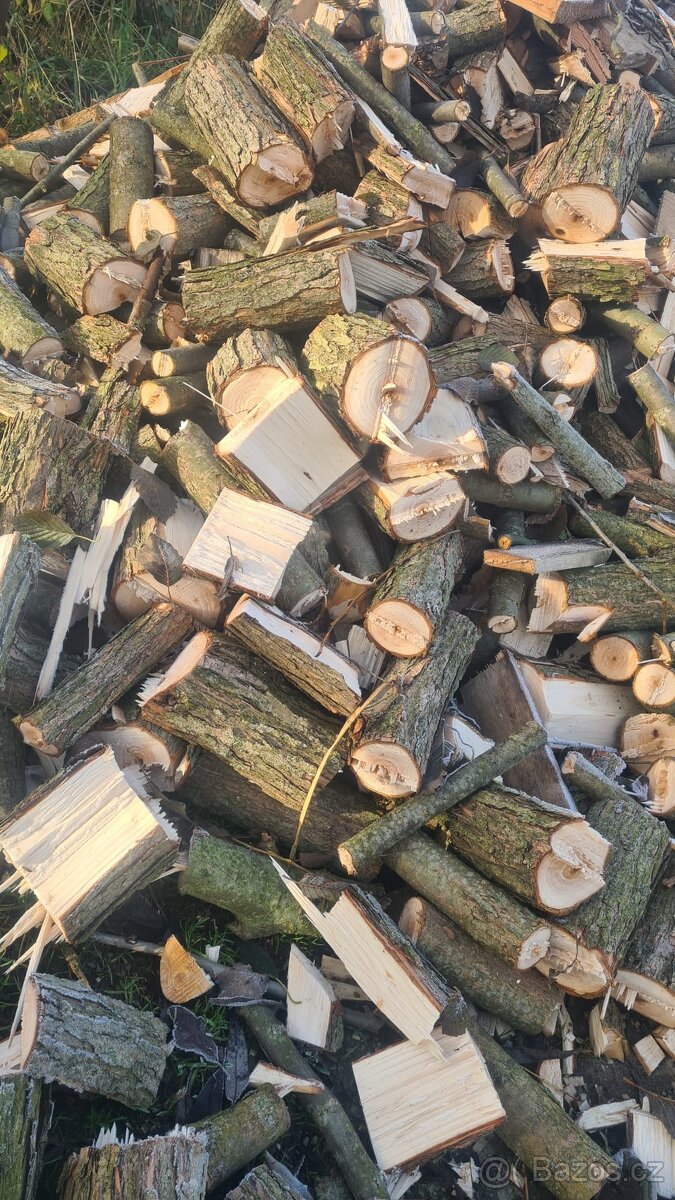 Štěpkovač - špalíkovač do 12 cm - 6