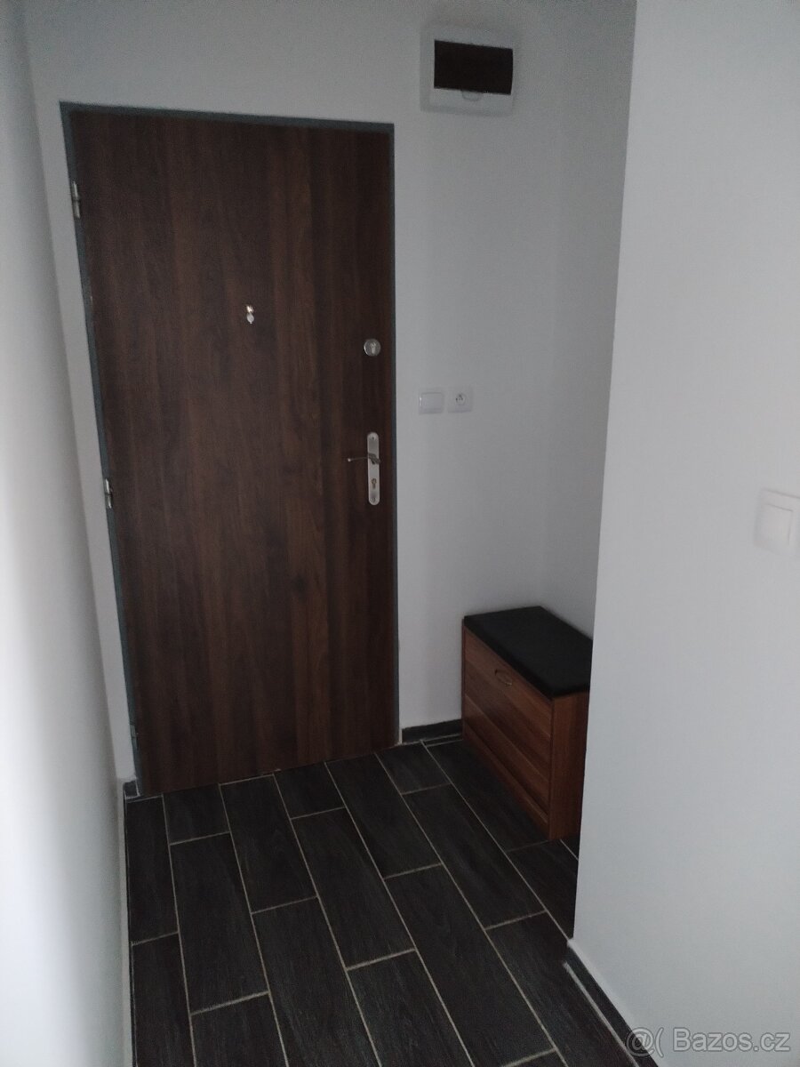 Pronájem bytu - 6