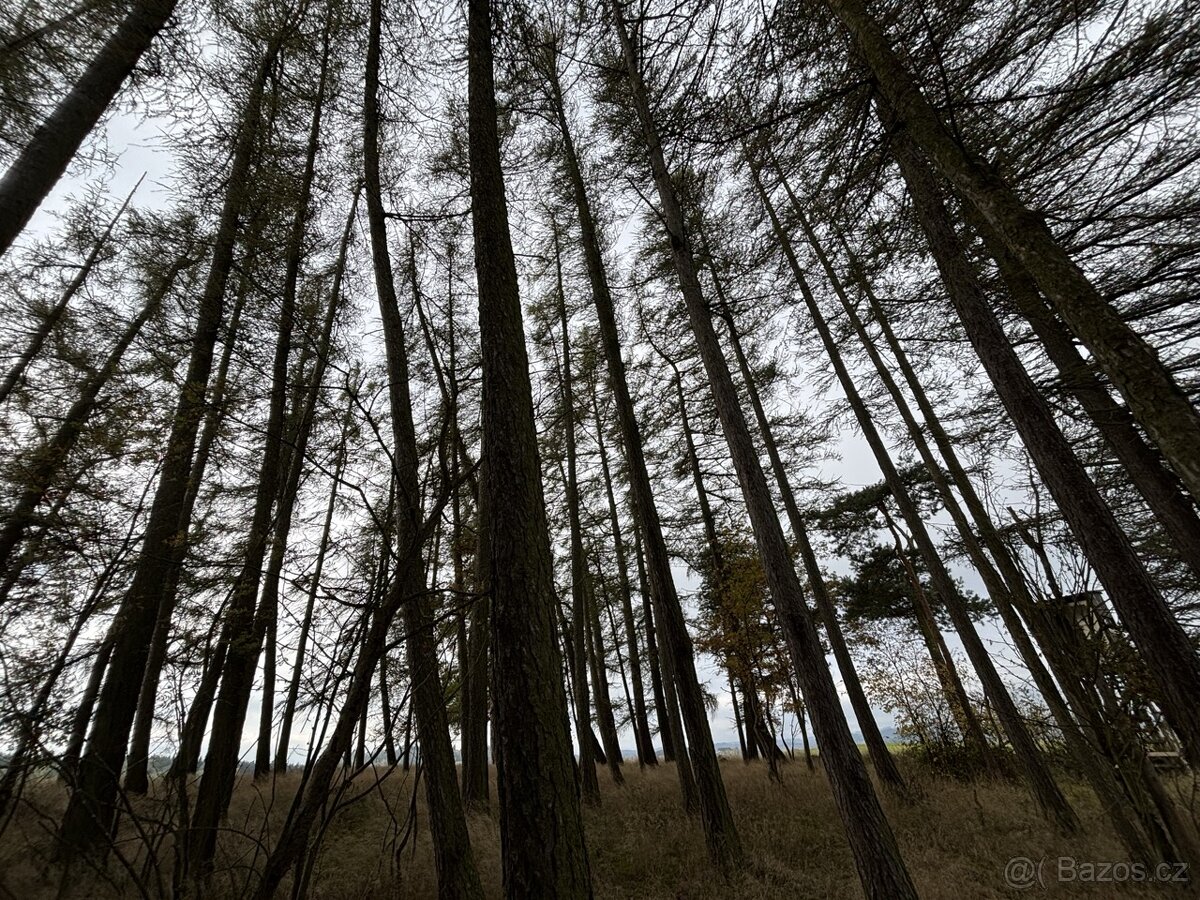 Prodej, pozemek, 8 157 m, , Plánice - Štipoklasy, Česko - 6