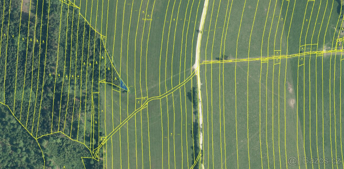 Prodám lesní pozemky v k.ú. Ločenice, p.č. 3857/9 a 3904 - 6