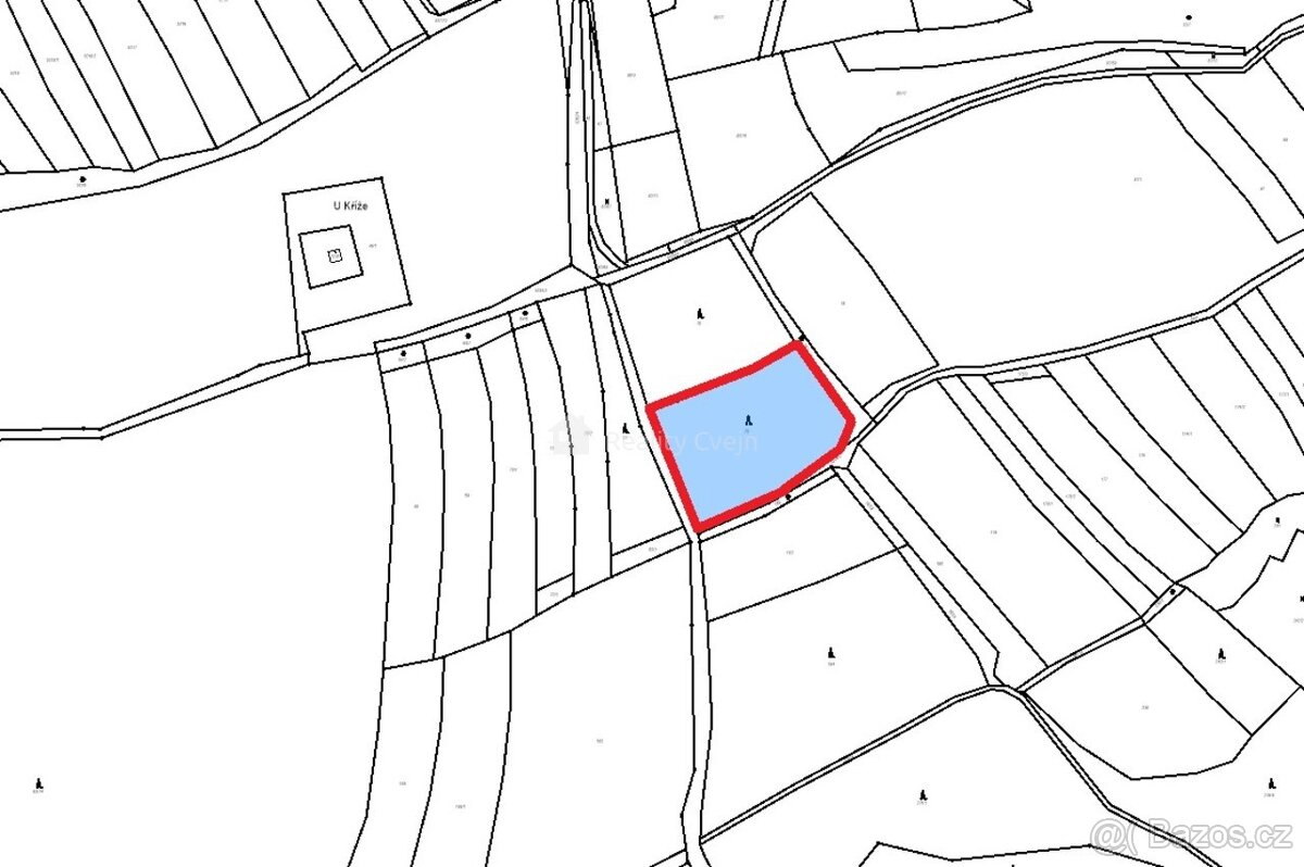 Lesní pozemky k.ú. Růžďka - 6