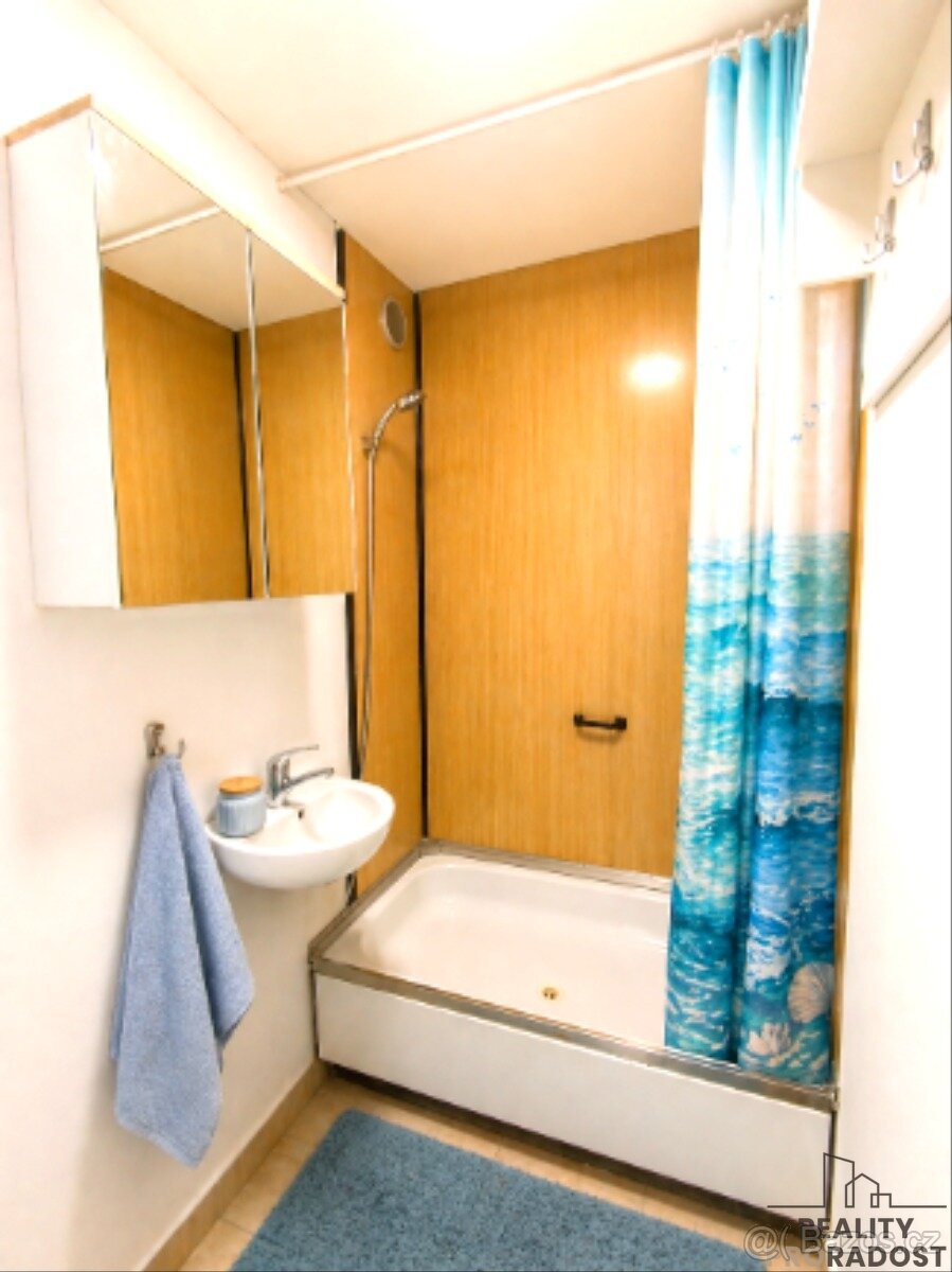 Pronájem bytu 2+ KK - 6