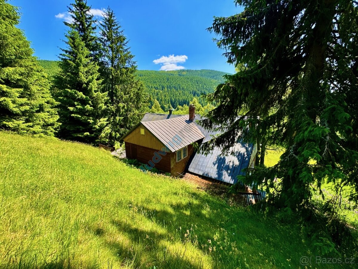 Prodej horské chalupy 258 m², poz. 11957 m², Dolní Malá Úpa - 6