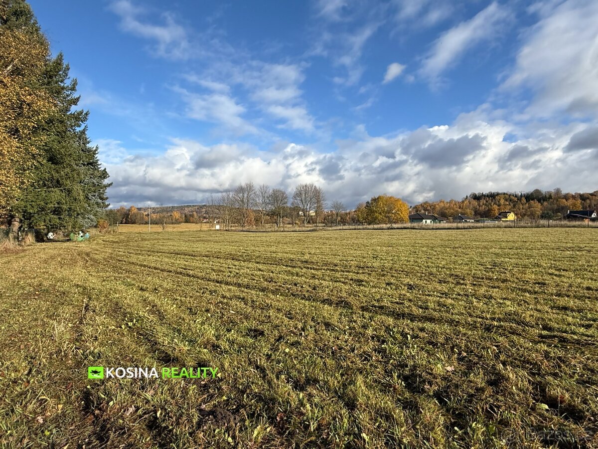 Stavební pozemek 4145 m2, Petra Bezruče, Kynšperk nad Ohří - 6