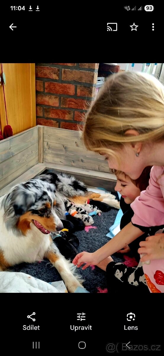 Porodní box pro psy (porodní bedna pro štěňata) - 6