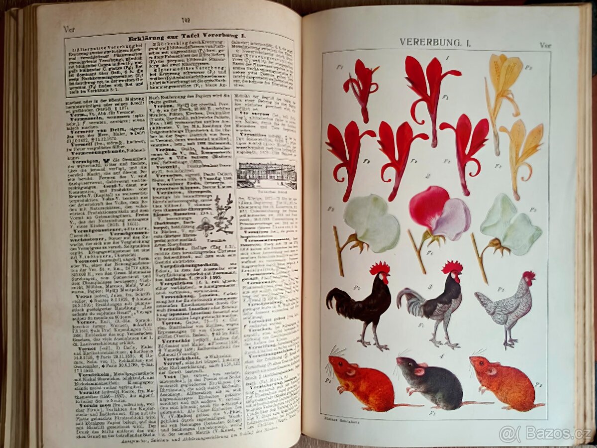 Originál Malý Brockhaus, 1928 - 6