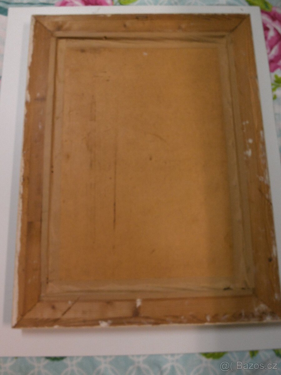 Zátiší chryzantémy Antonín Šustr 12.6.1923 - 6