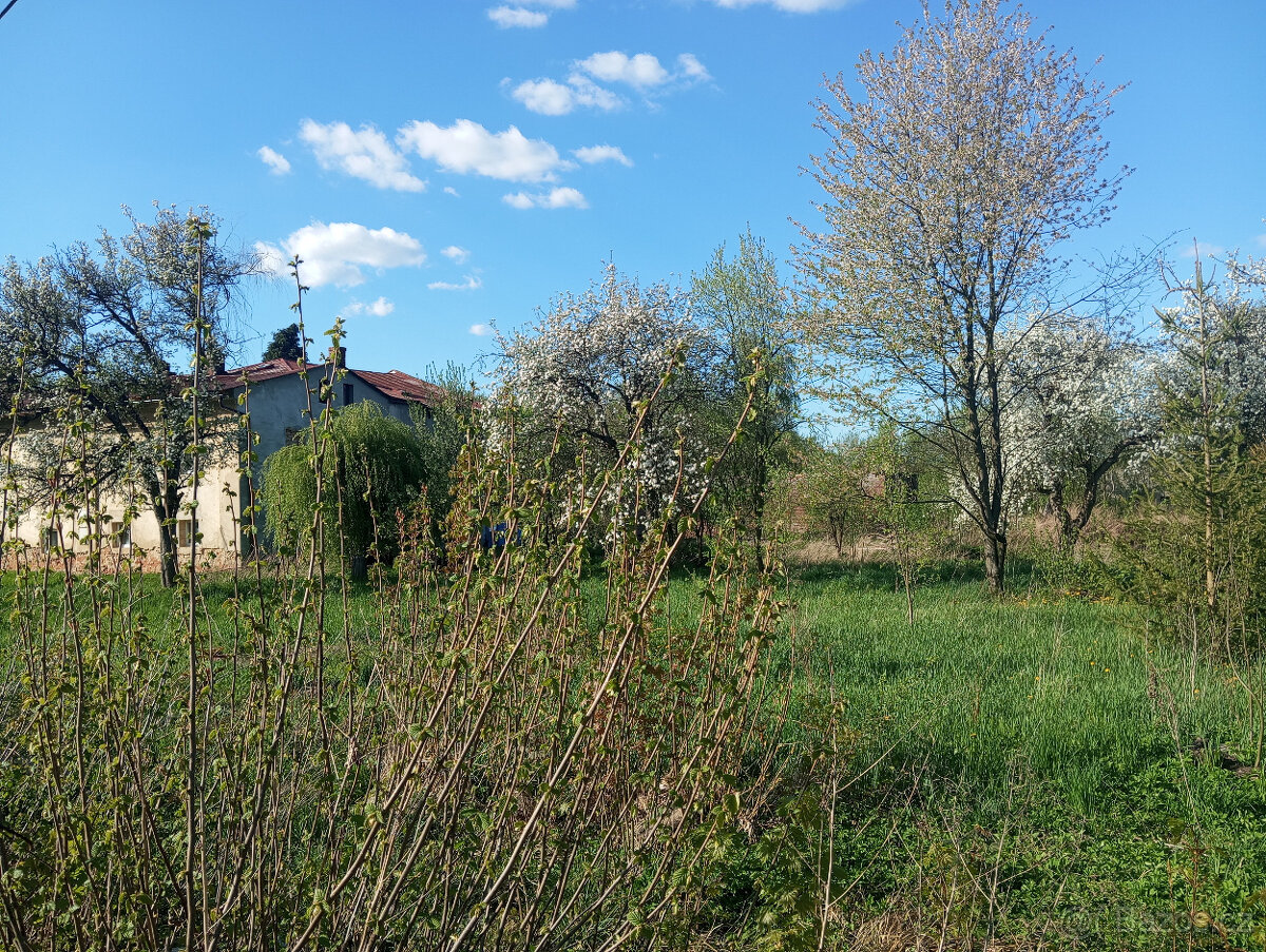 Prodej dvou rodinných domů s velkými stavebními pozemky - 6