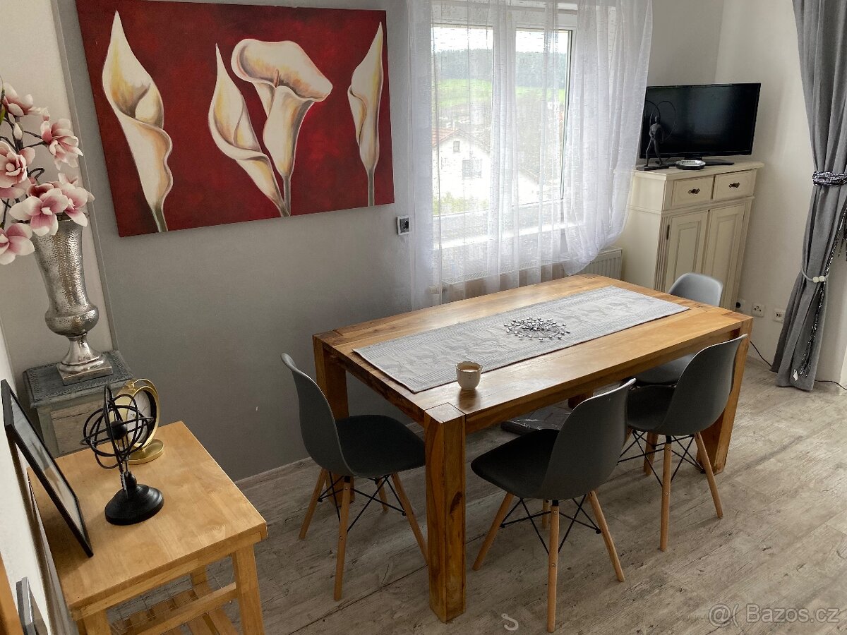 PRODÁM NEBO PRONAJMU DÚM V REGENU-SRN-3 BYTY - 6