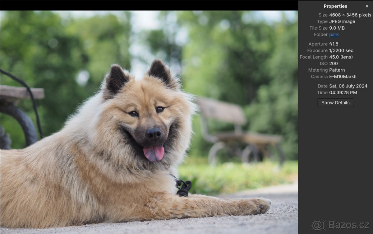 Olympus 45mm f/1.8 - 6