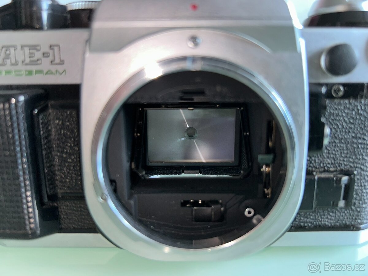 Canon AE-1 Program + Canon FD 50mm f/1.8 - 6