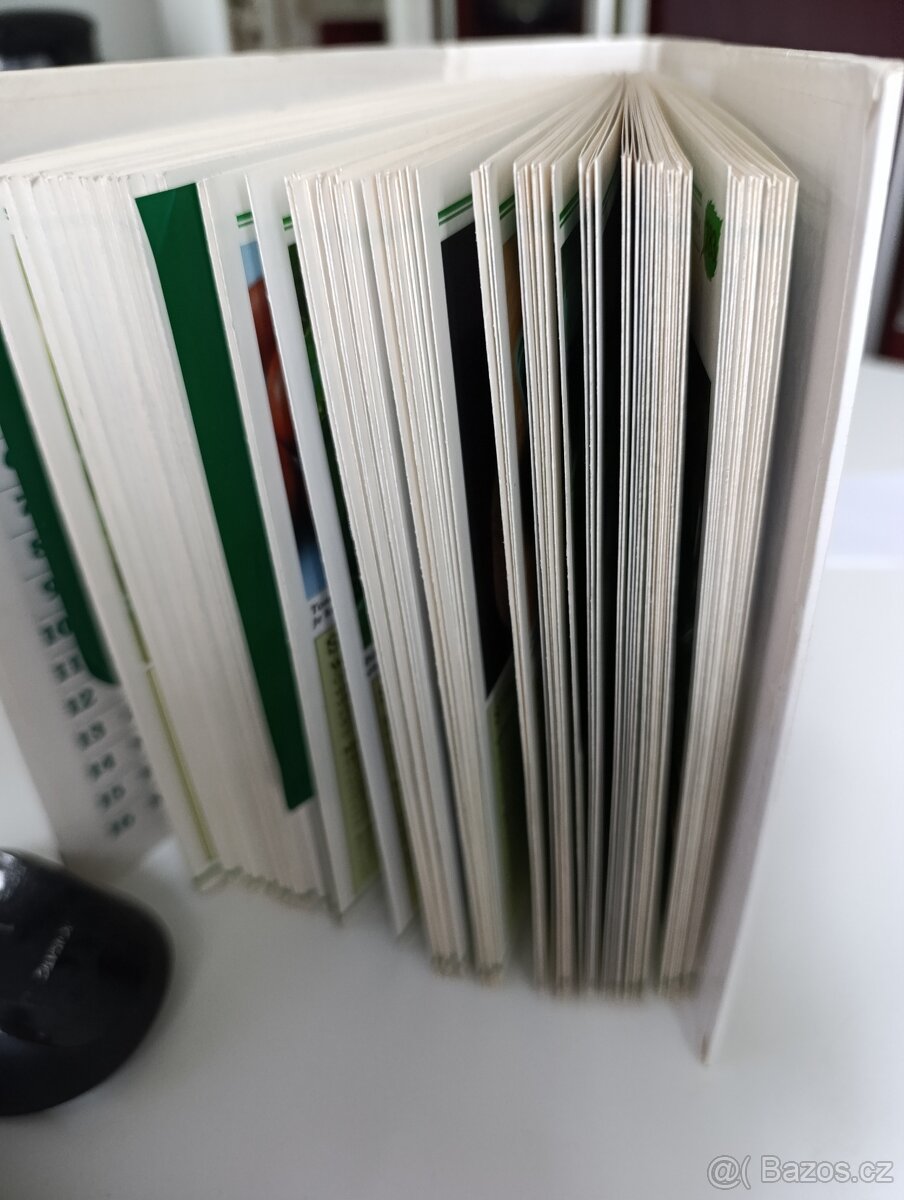 Pokojové květiny od A po Z - 6