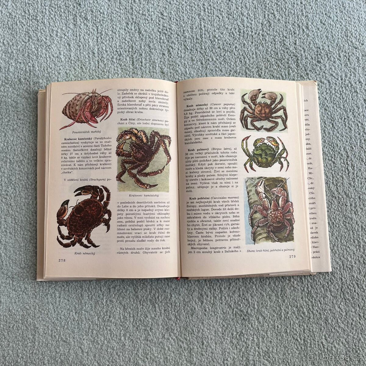 Světem zvířat V. Bezobratlí 1 - 6