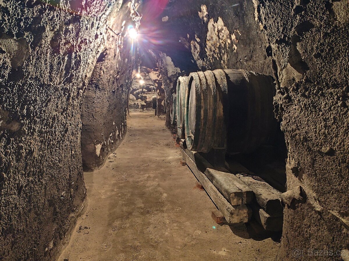 Pronájem, vinný sklep s lisovnou, Nový Šaldorf - 6