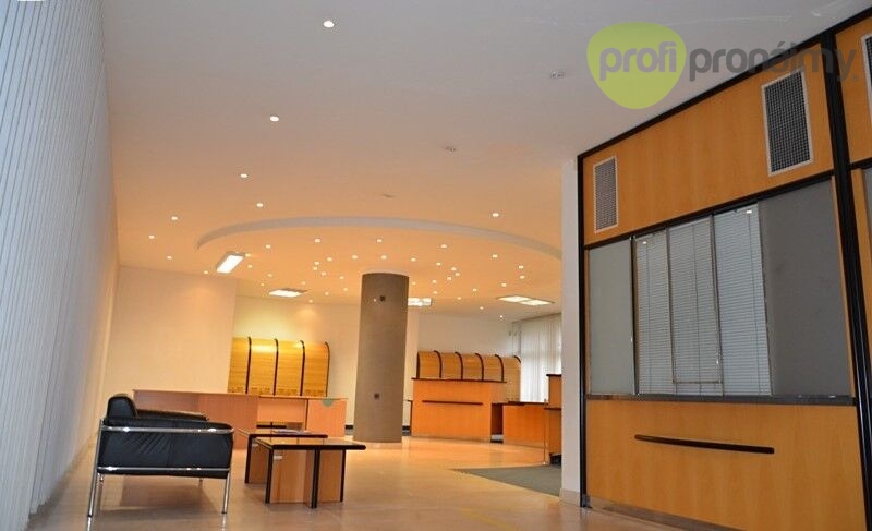 Pronájem obchodního prostoru 175 m² - 6
