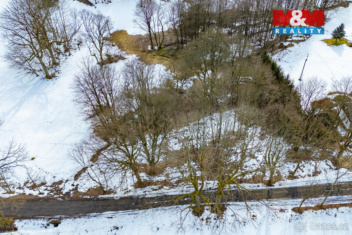 Prodej louky, 321 m², Výprachtice - 6