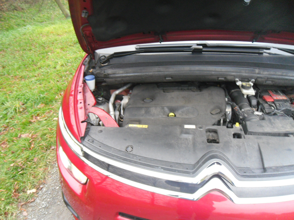 Citroen C4 7 mist - 6