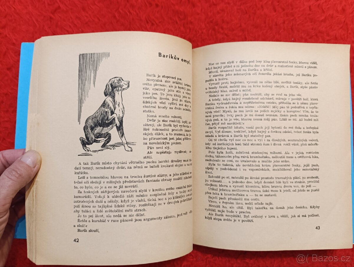 CESTOU A CESTIČKOU - J.H.Týnecký - 6