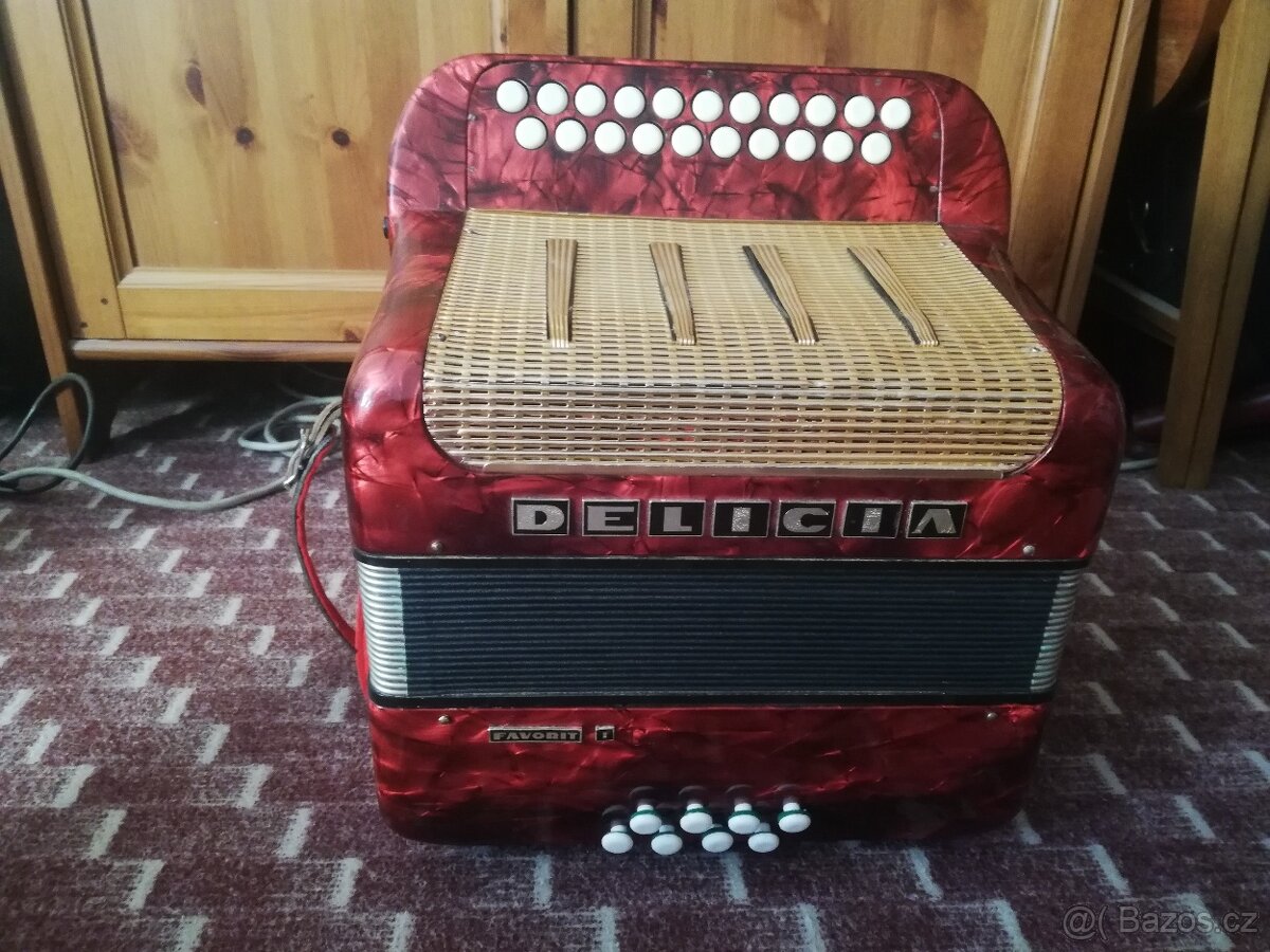 Heligonka - Harmonika : Delicia - 6