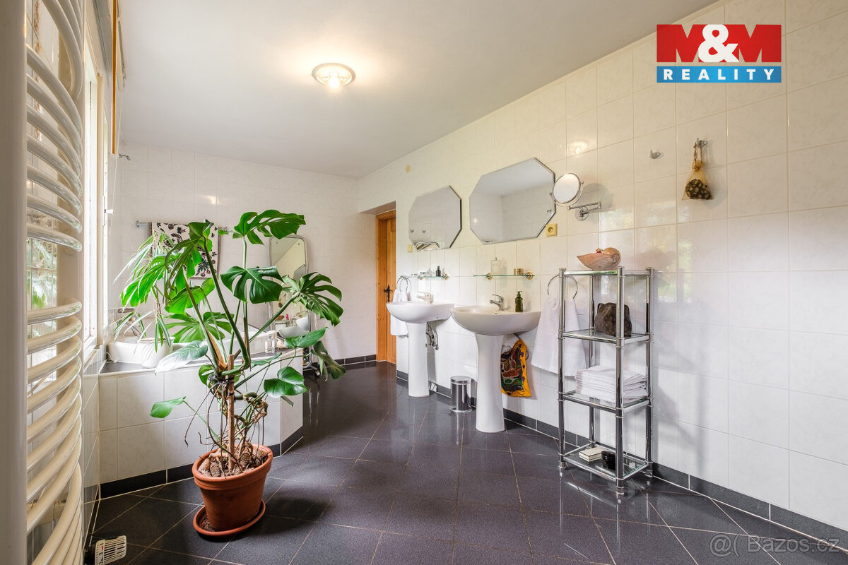 Prodej rodinného domu, 105 m² + pozemek 11.000 m2, Damice - 6