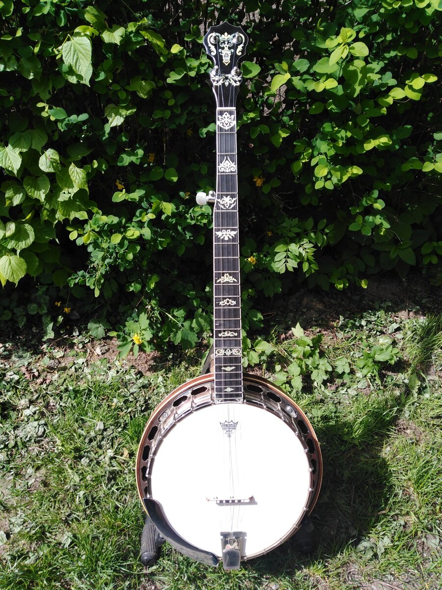 prodám 5. strun banjo - 6