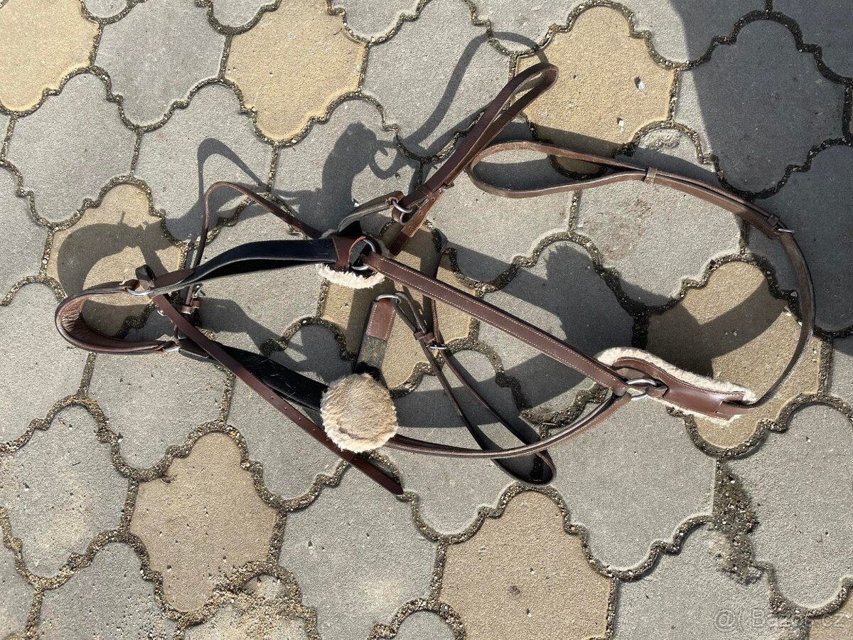 Anglická sedla, úklid sedlovny, levně - 6