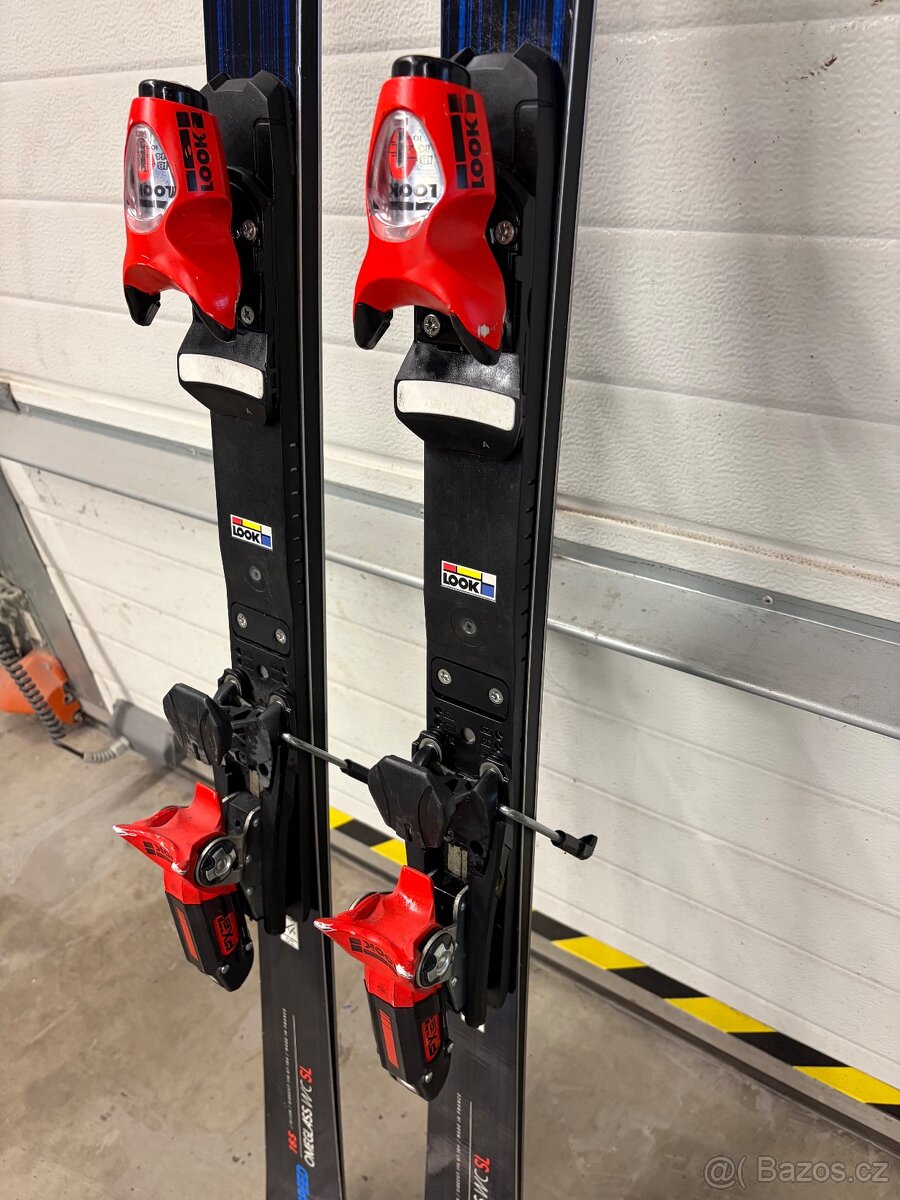 Lyže Dynastar Omeglass WC SL - 6