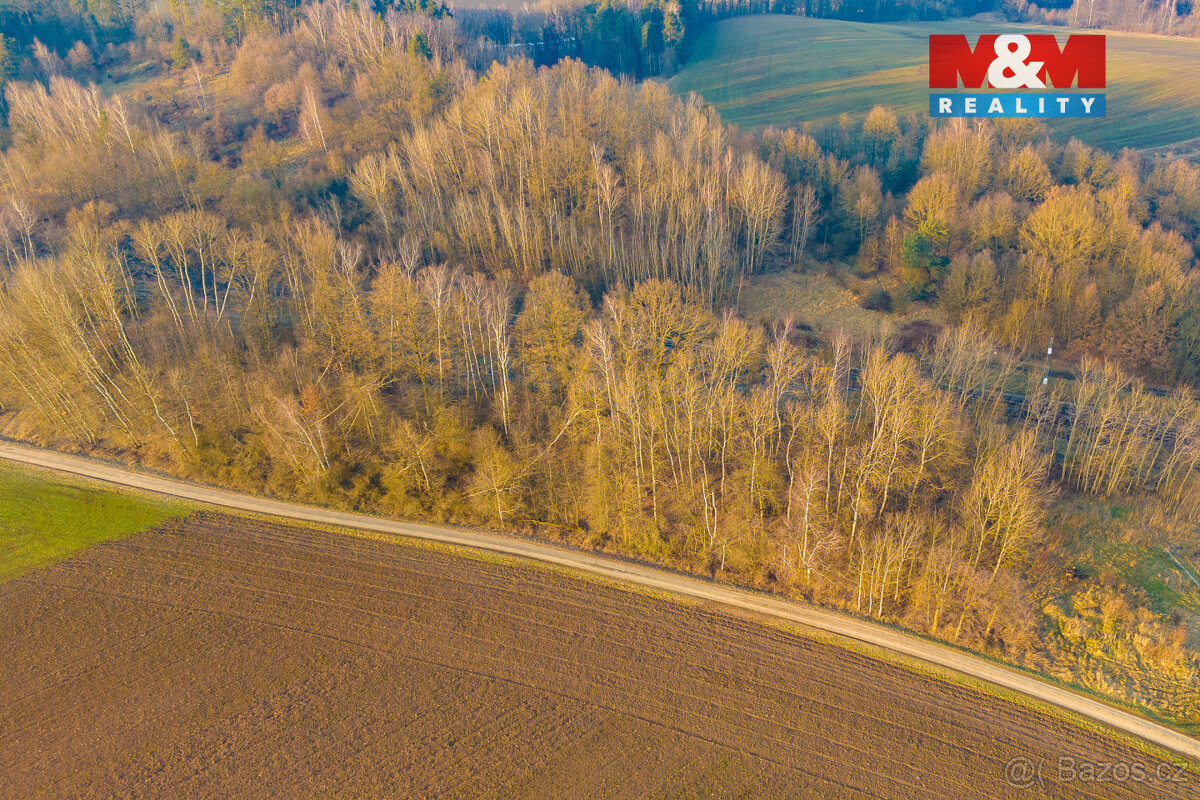 Prodej louky, 4637 m², Rudoltice - 6