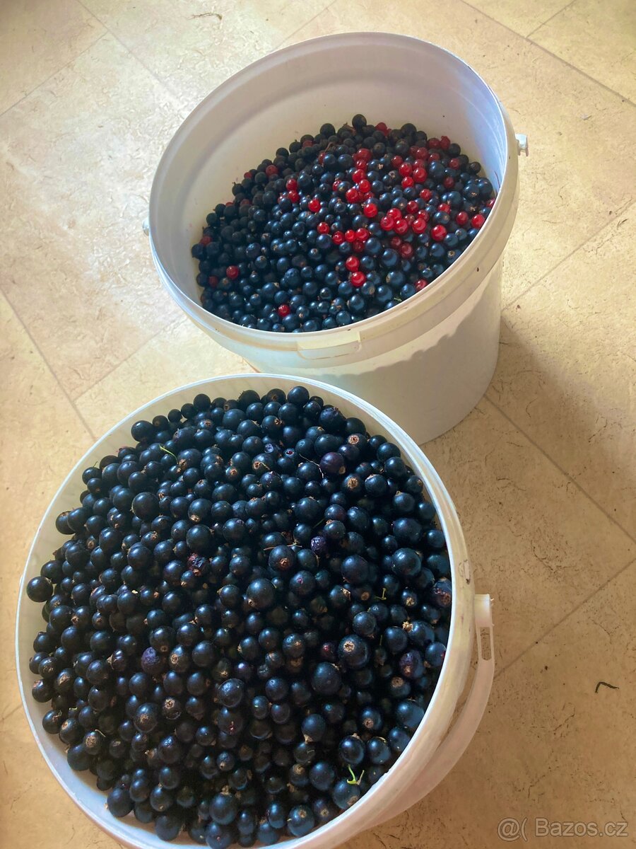 Marmeláda z černého rybízu – 80% ovoce, 20% květového medu - 6