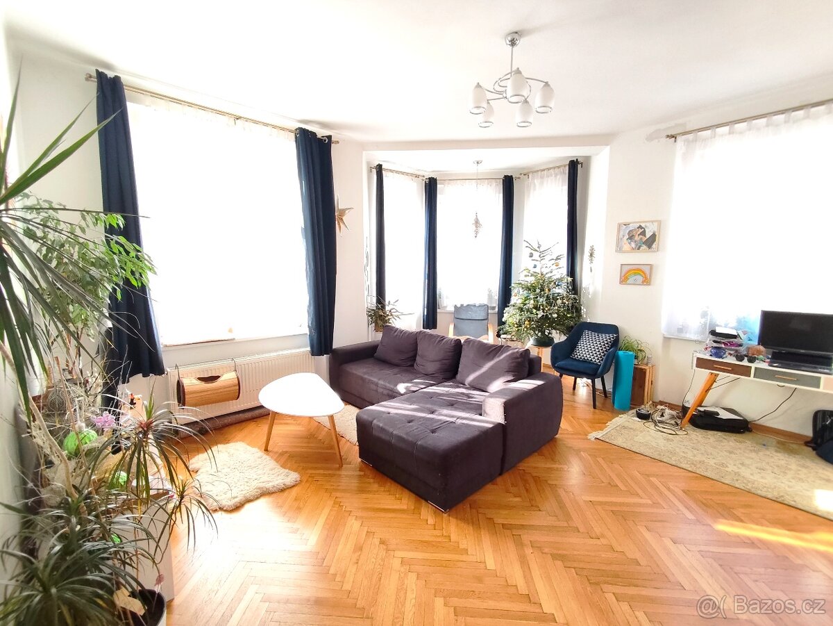 Vyjimecny byt 3+1 v lázních - 6