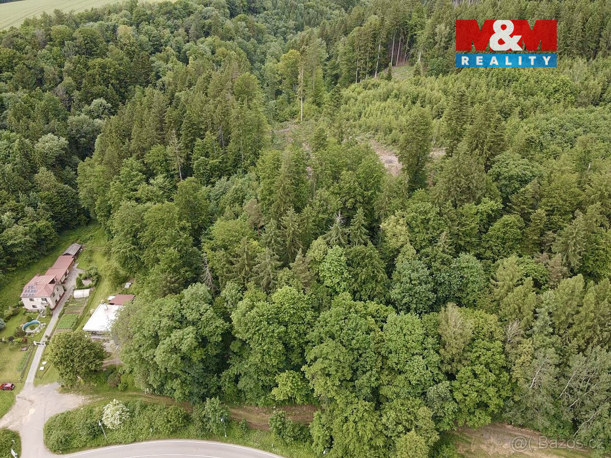 Prodej lesa, 2745 m², Ústí nad Orlicí - 6