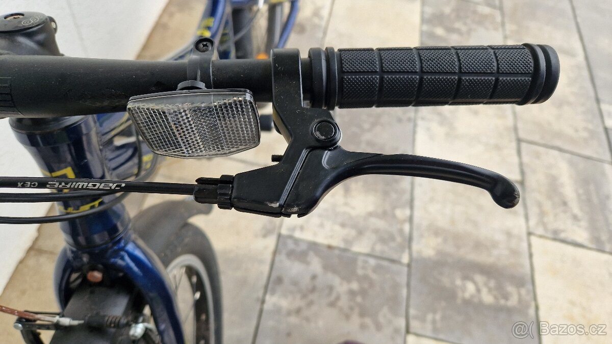 AMULET Tomcat 20" modrá/zlatá - 6