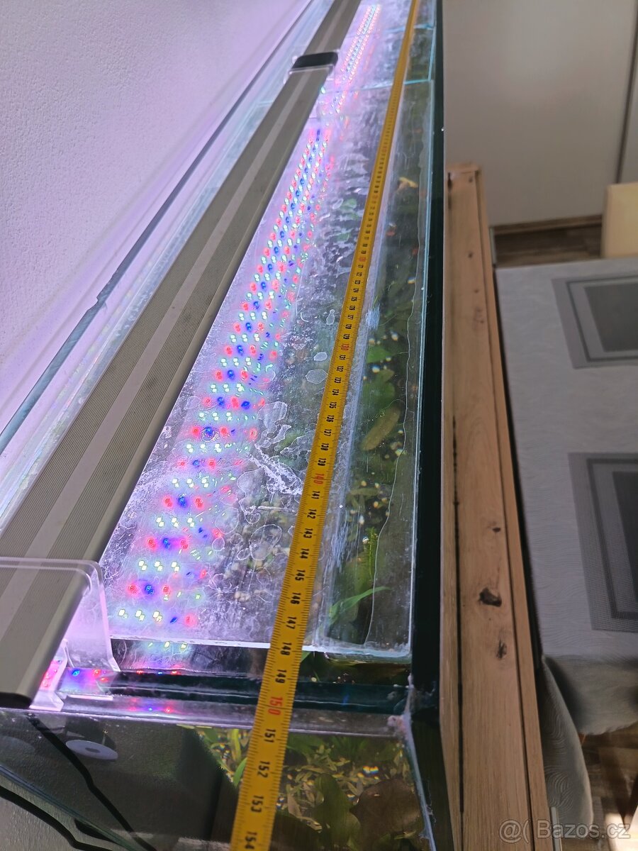 Akvárium - 6