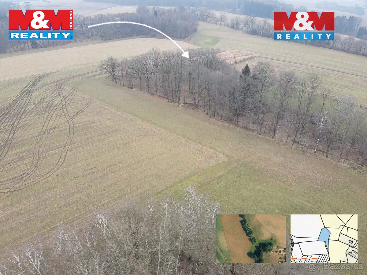 Prodej louky, pole v Bošíně - 6