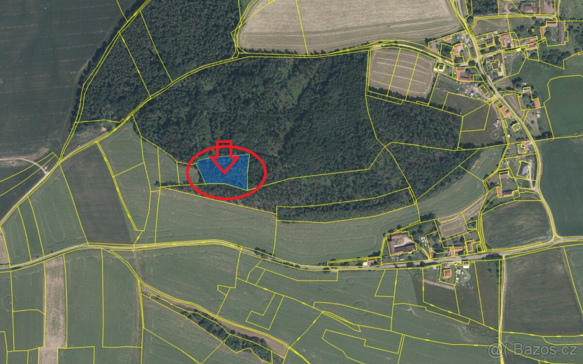 Prodej lesního pozemku k.ú. Libice - 6