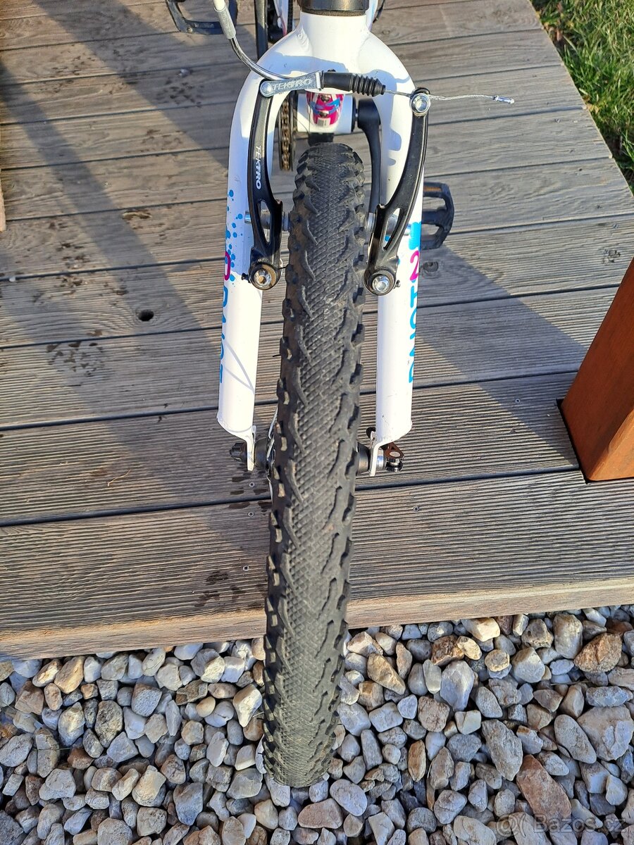 Superior Paint 20"- PĚKNÉ - 6