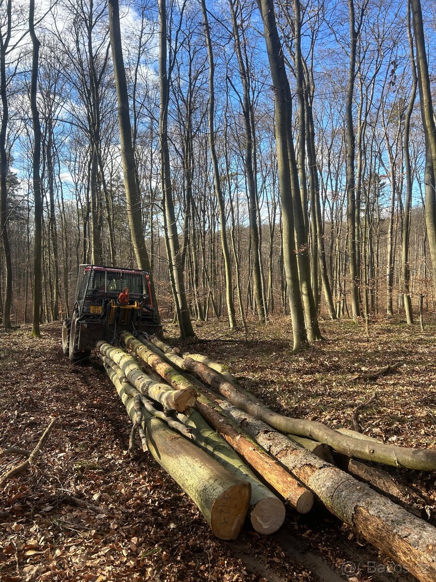 Palivové dřevo - 6