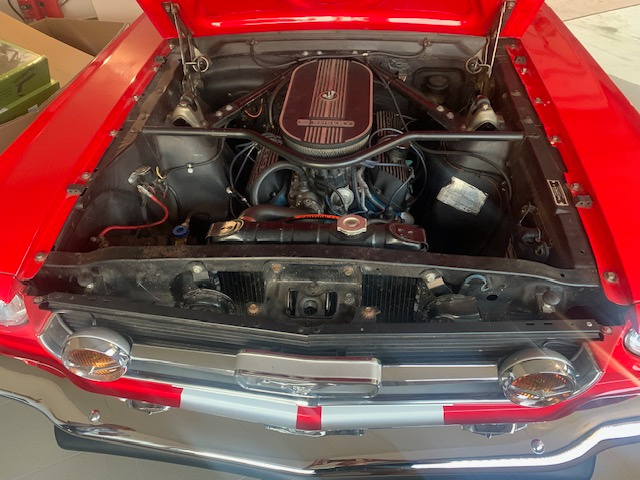 Ford Mustang Fastback GT 350 - 6