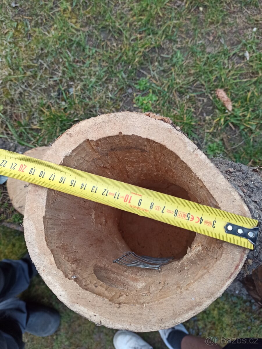 Kmenové budky - 6