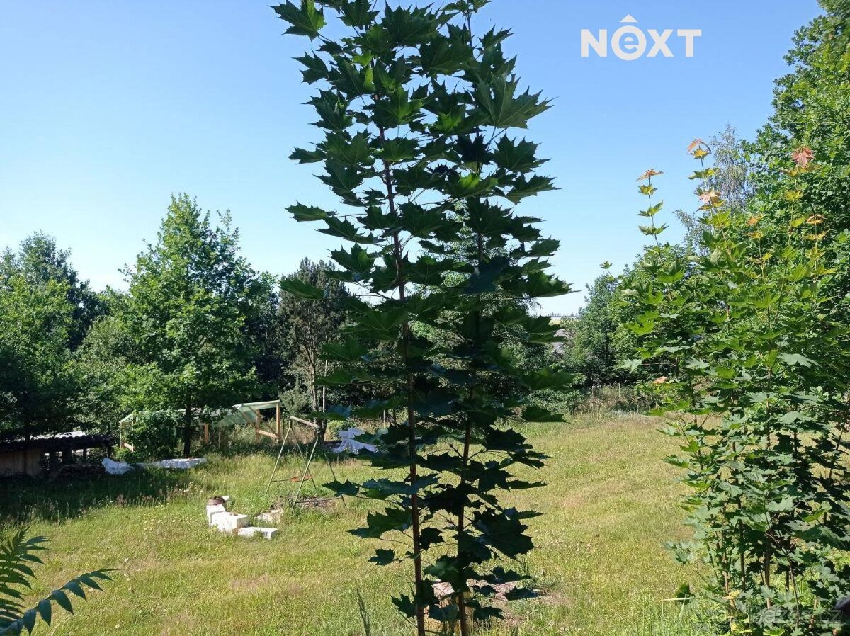 Prodej pozemek Bydlení - 6