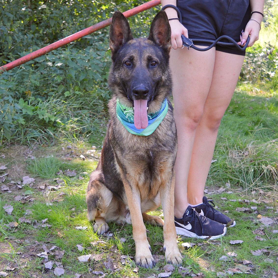 René hlada domov - 6