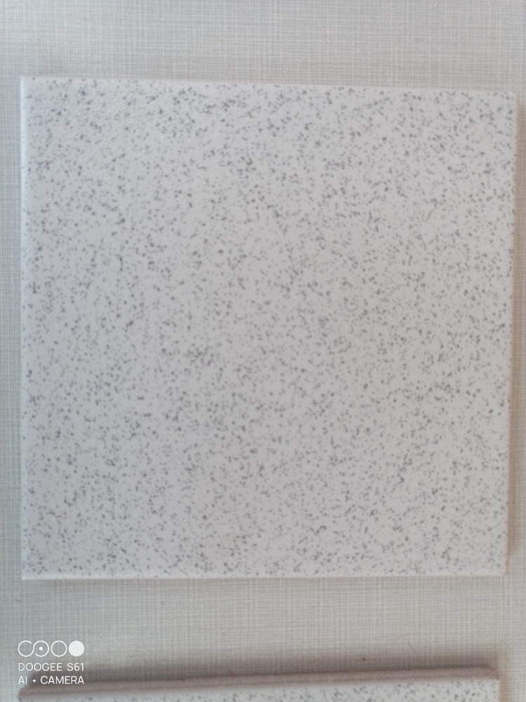 rako dlažba 24 m2 - 6