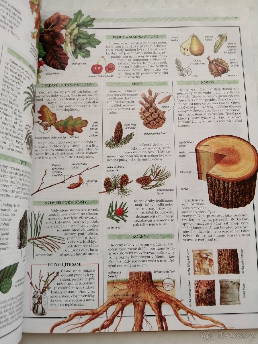Dětská encyklopedie o přírodě NOVÁ - 6